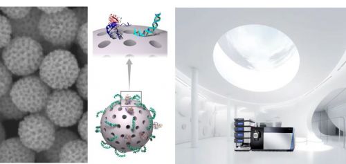 大分子组学